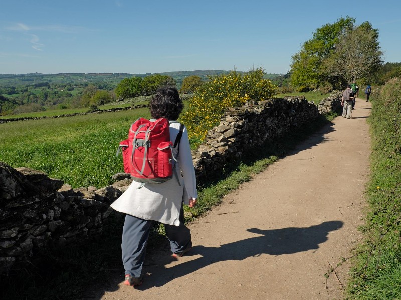 Camino Francés letzte 100 km sorglos pilgern
