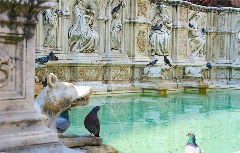 Brunnen an der Piazza del Campo in Siena