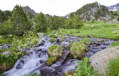 Es rauscht und plätschert in Andorras Naturpark Sorteny